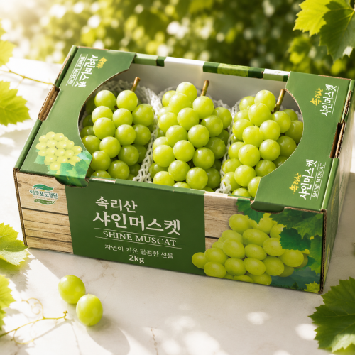 [에코포도정원] 샤인머스켓 일반 2호